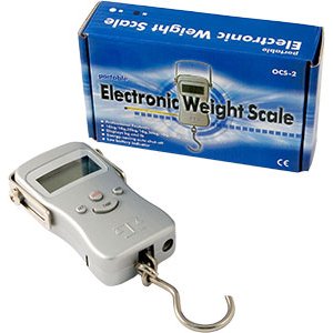 Весы электронные OСS-2