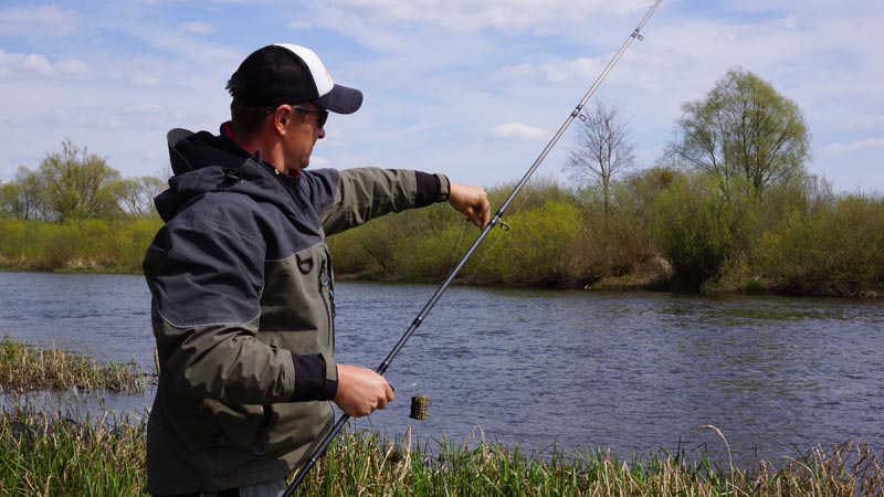 Ручейники - лучшая насадка для рыбалки на фидер весной на реке